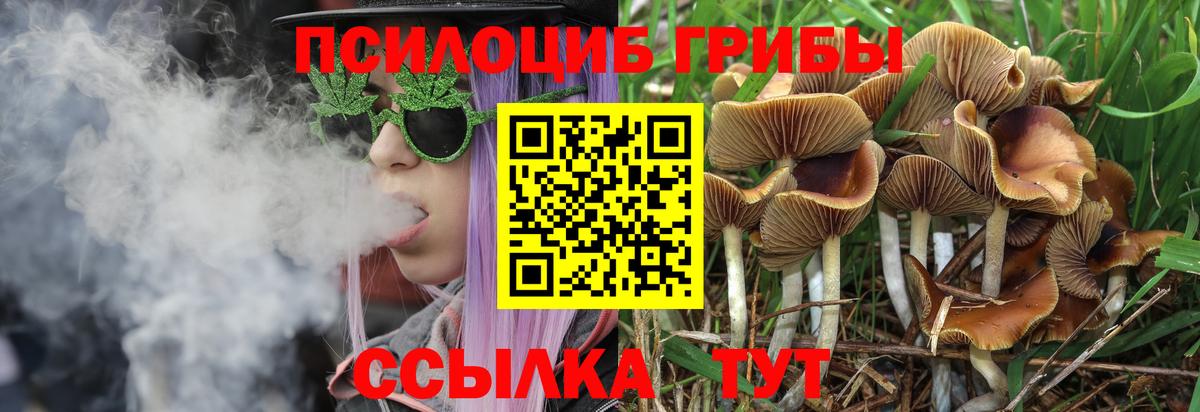 Галлюциногенные грибы GOLDEN TEACHER  Галлюциногенные грибы MAGIC MUSHROOMS  Вход с VPN  Краснокаменск 